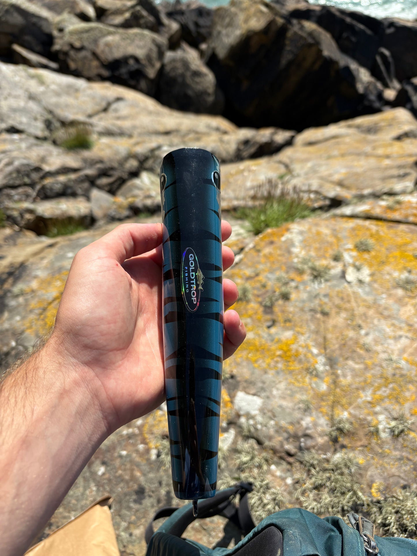 Blue Tiger Surface Popper