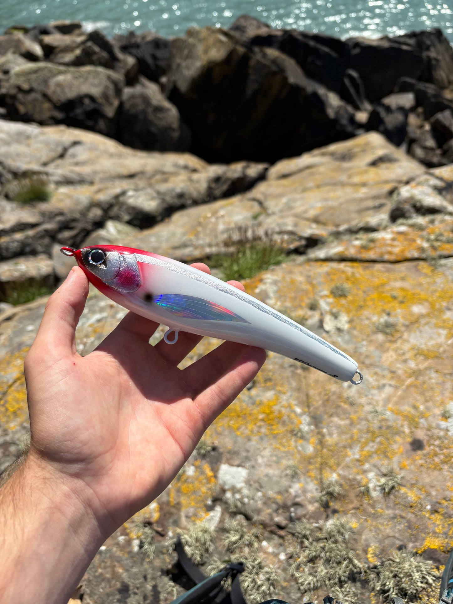 Bloodline Sinking Lure