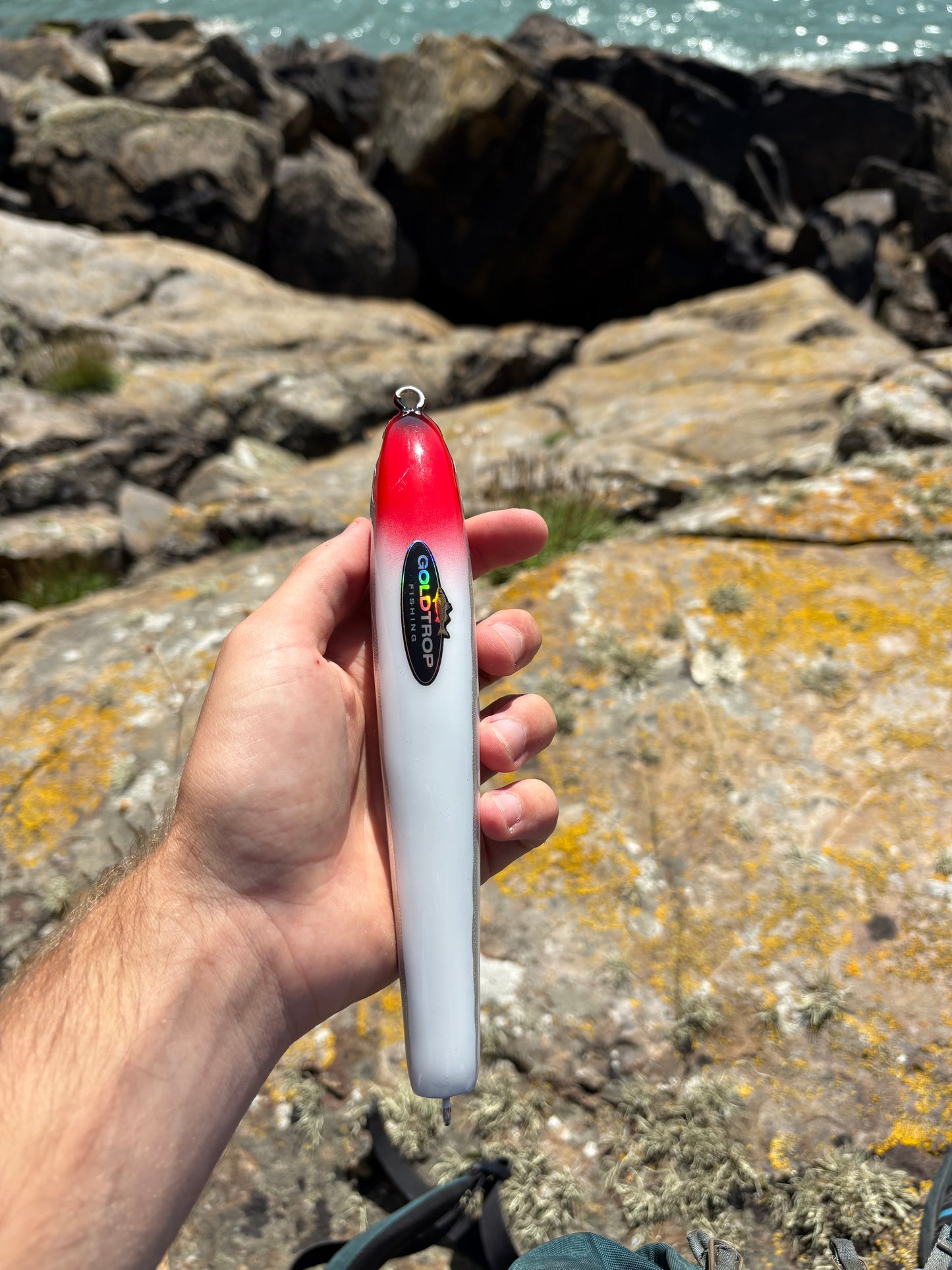 Bloodline Sinking Lure