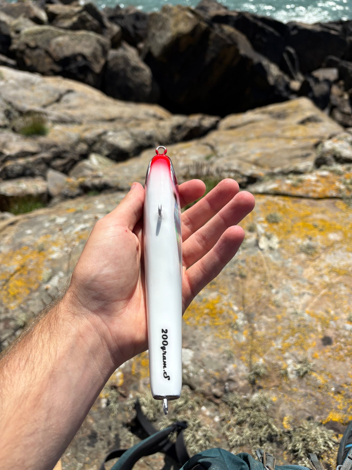 Bloodline Sinking Lure