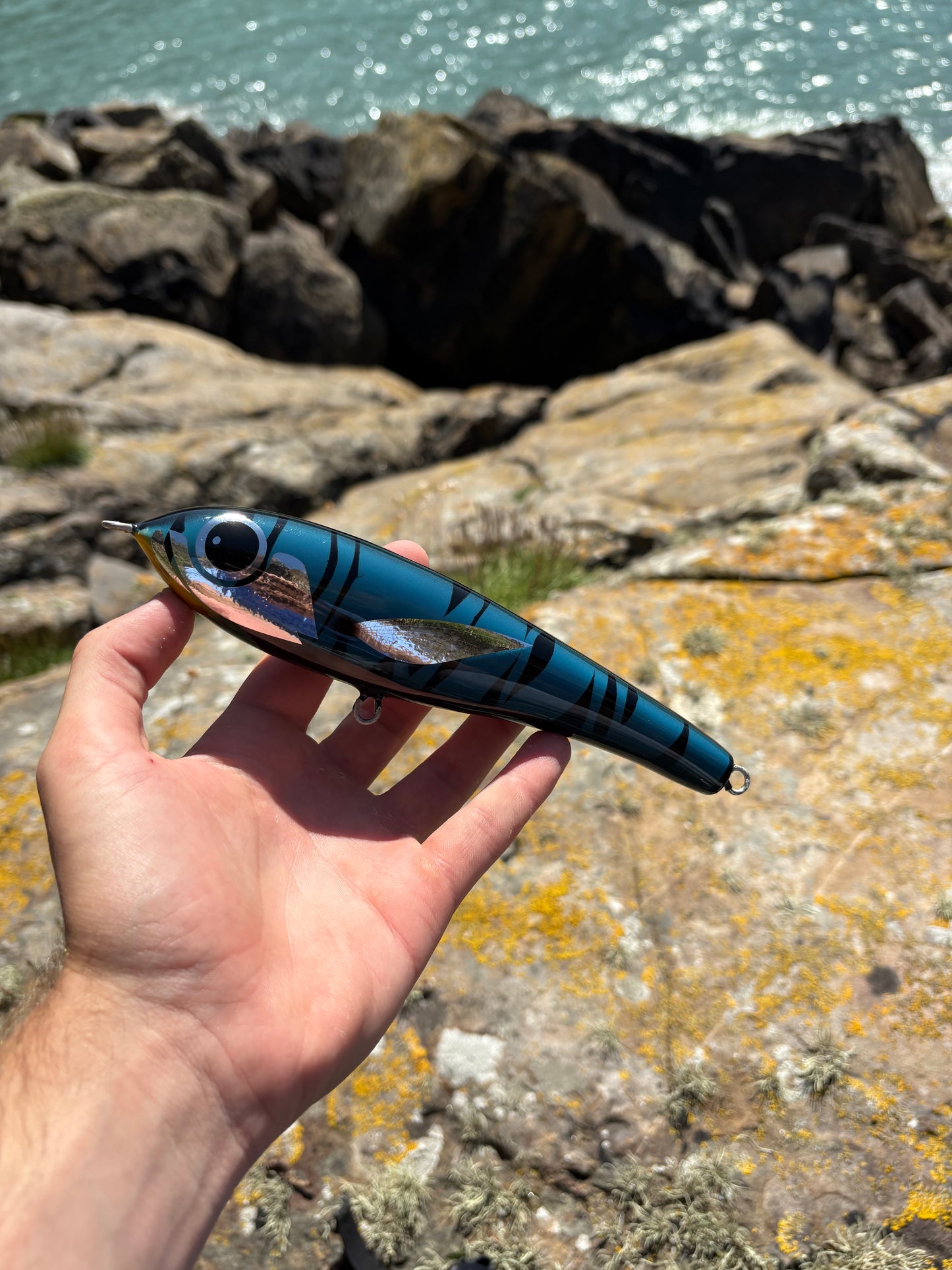 Blue Tiger Sinking Lure
