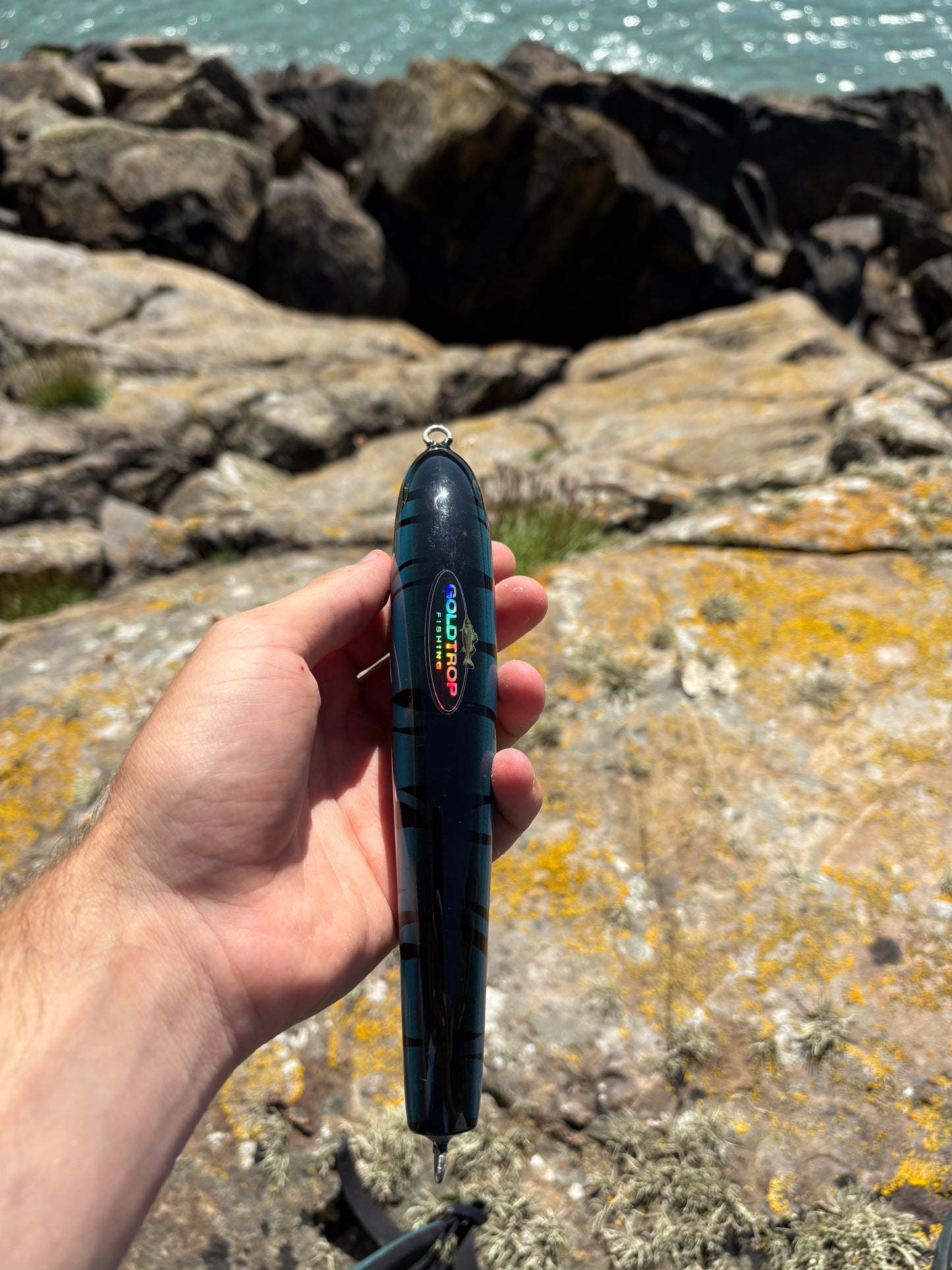 Blue Tiger Sinking Lure