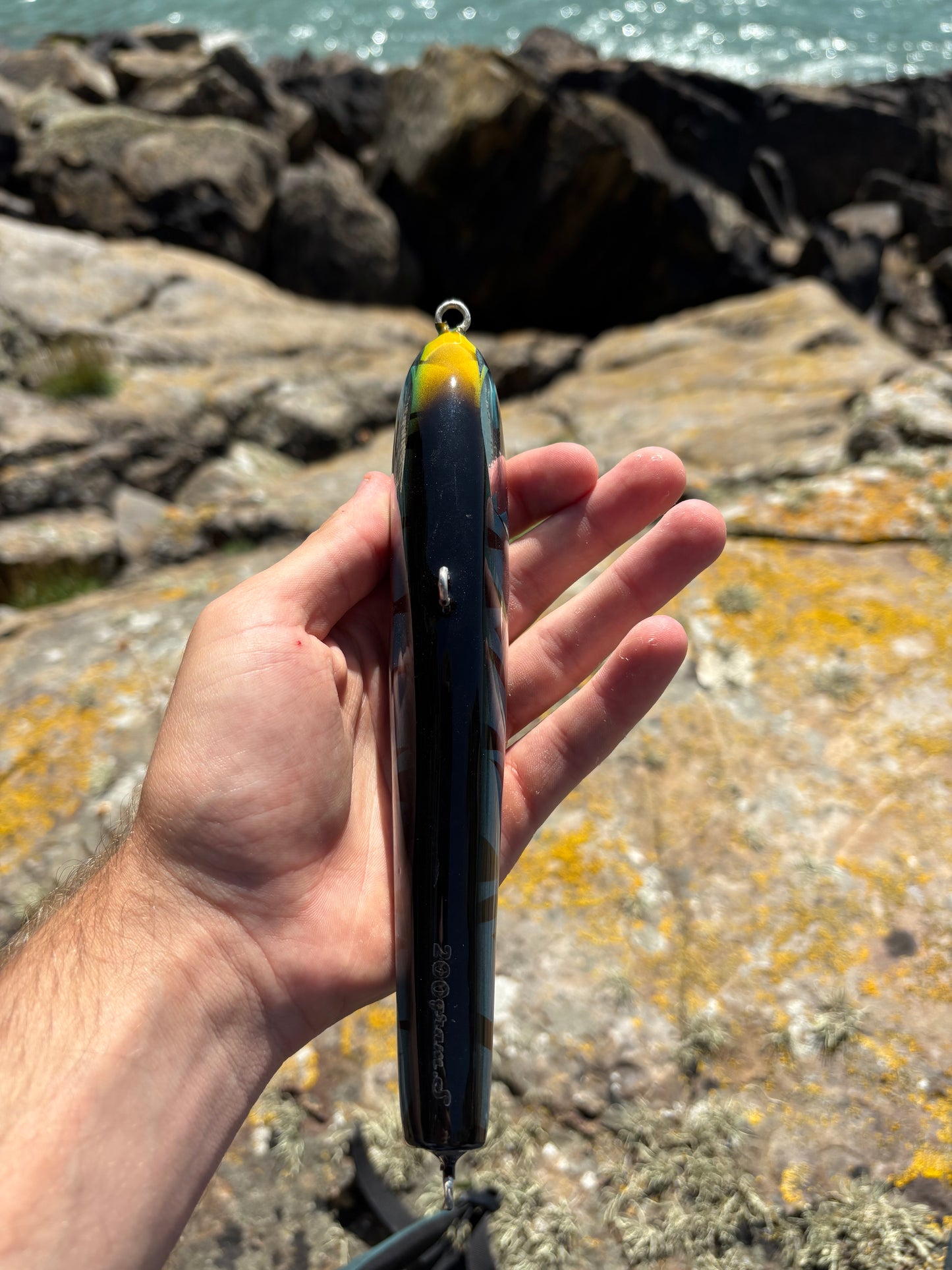 Blue Tiger Sinking Lure