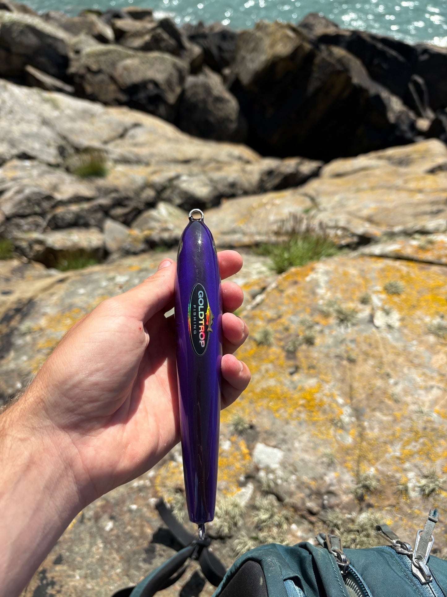 Purple laser Sinking Lure