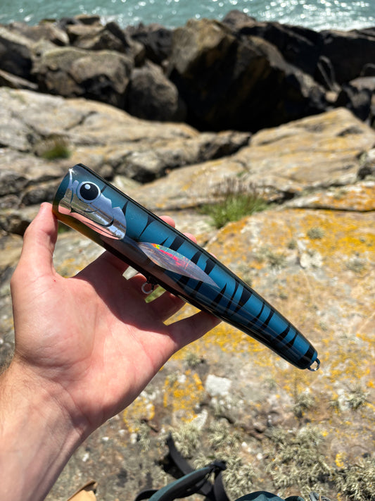 Blue Tiger Surface Popper