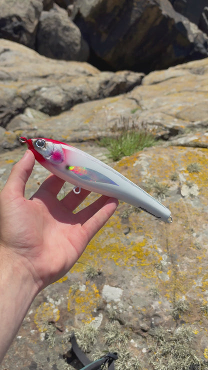 Bloodline Sinking Lure