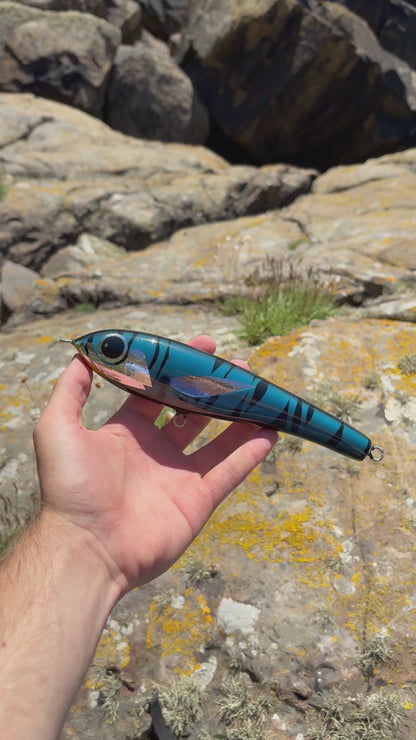 Blue Tiger Sinking Lure